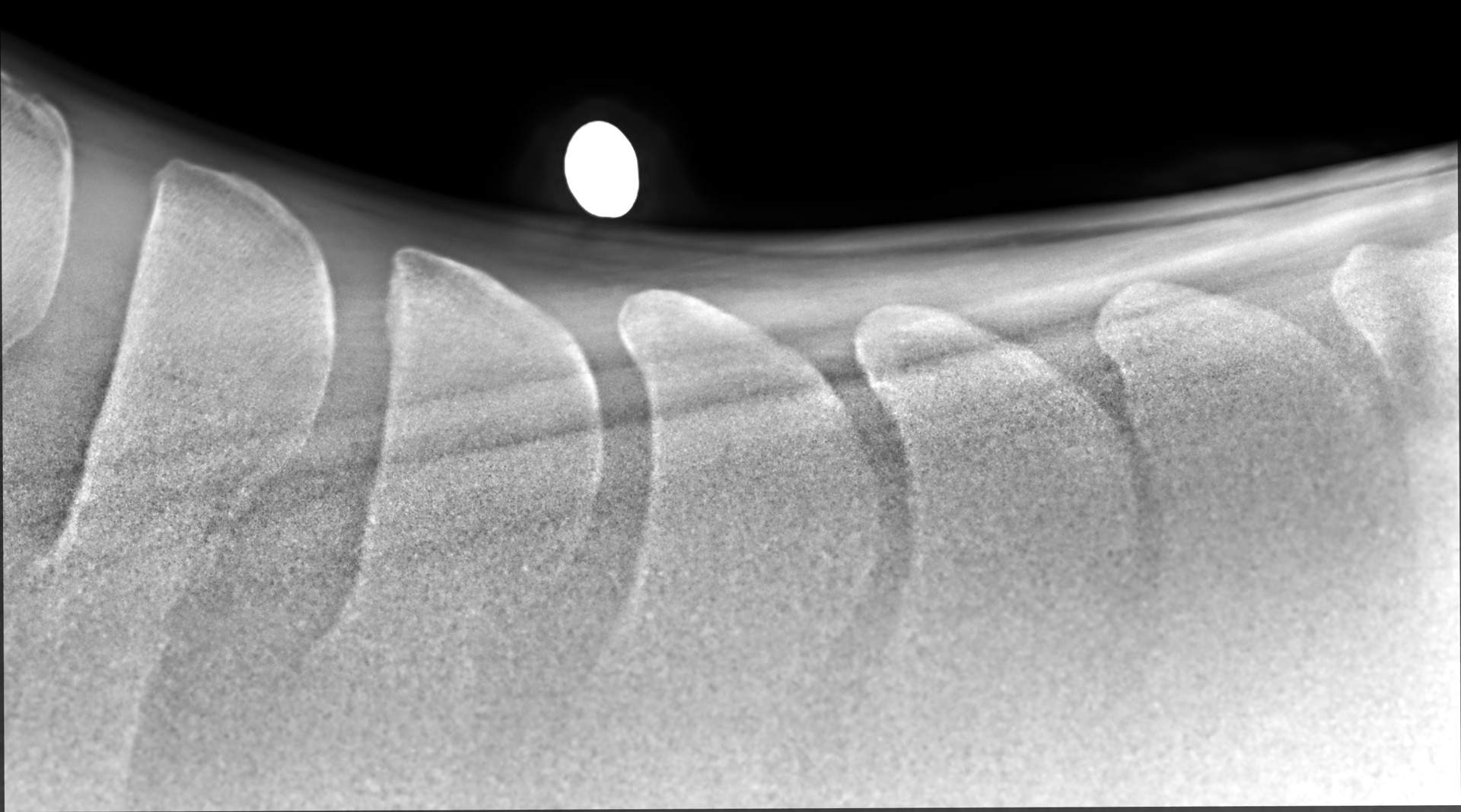 Background image - 20230224122334304.DX