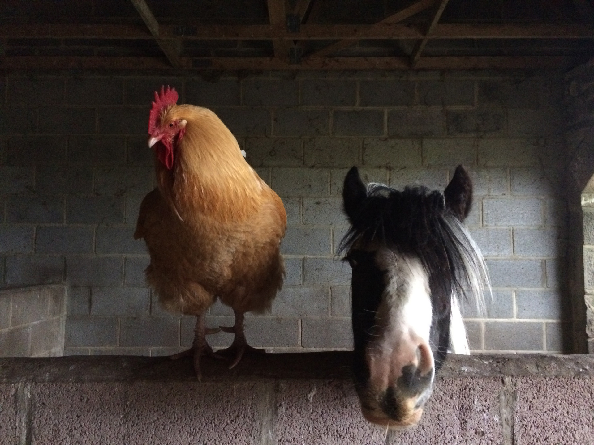 Background image - Istock 1439957590