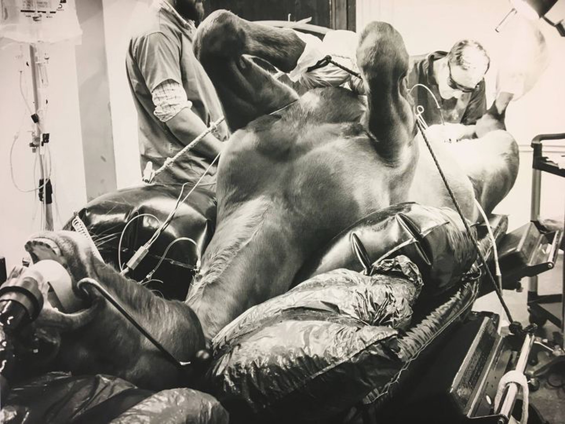 Background image - 37353484 2145418422406373 6011507738134183936 O