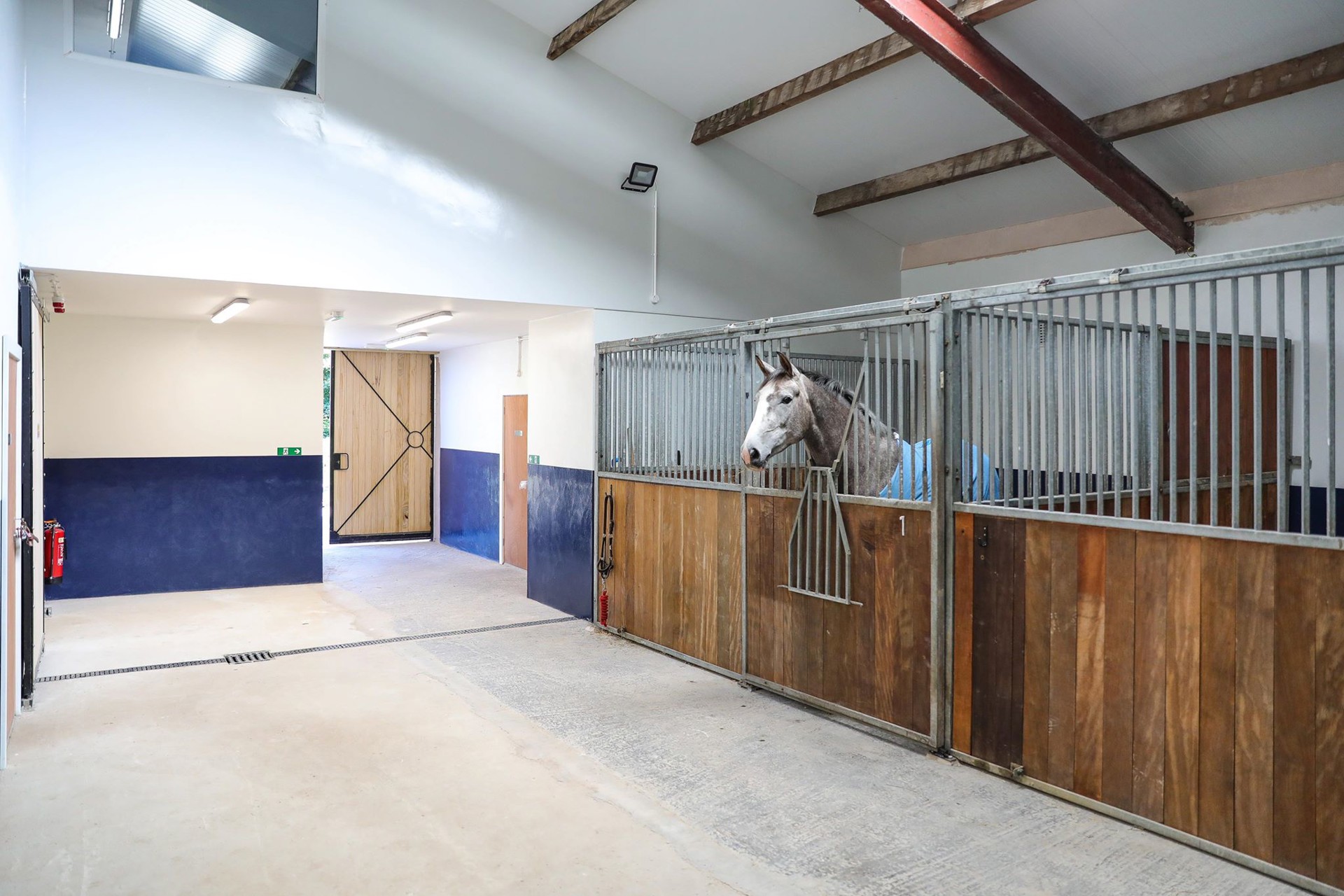 Background image - 117387146 301147124635137 5565990478194871175 N