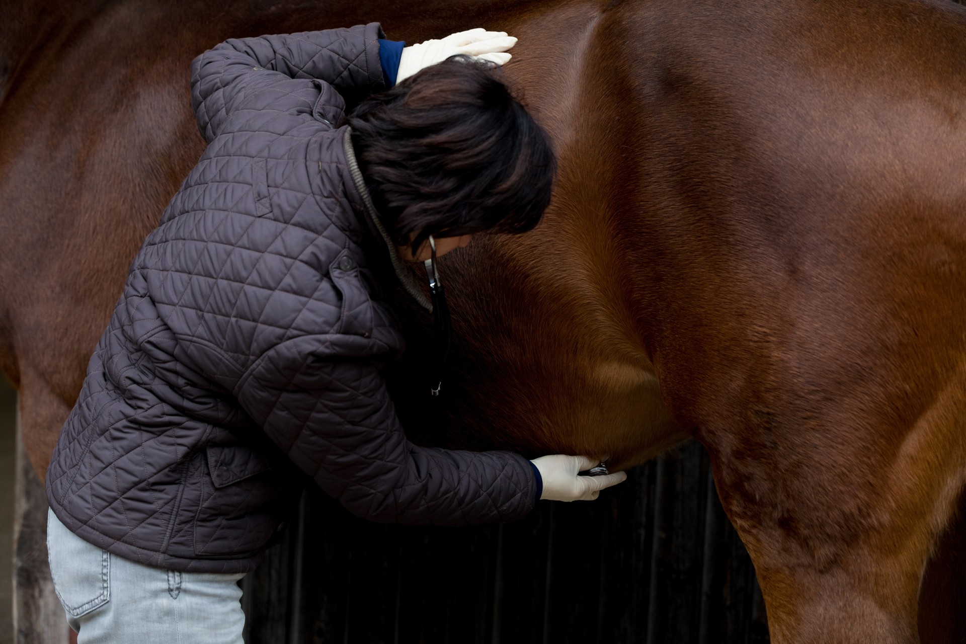 Background image - Shutterstock 2261417843