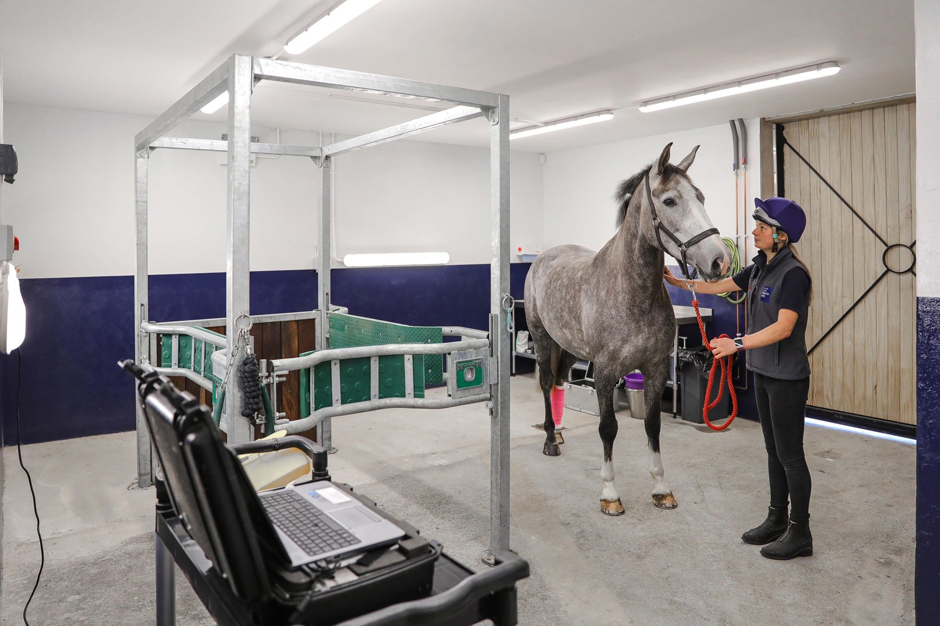 Background image - 117658147 361281674864536 2144438061197104172 N