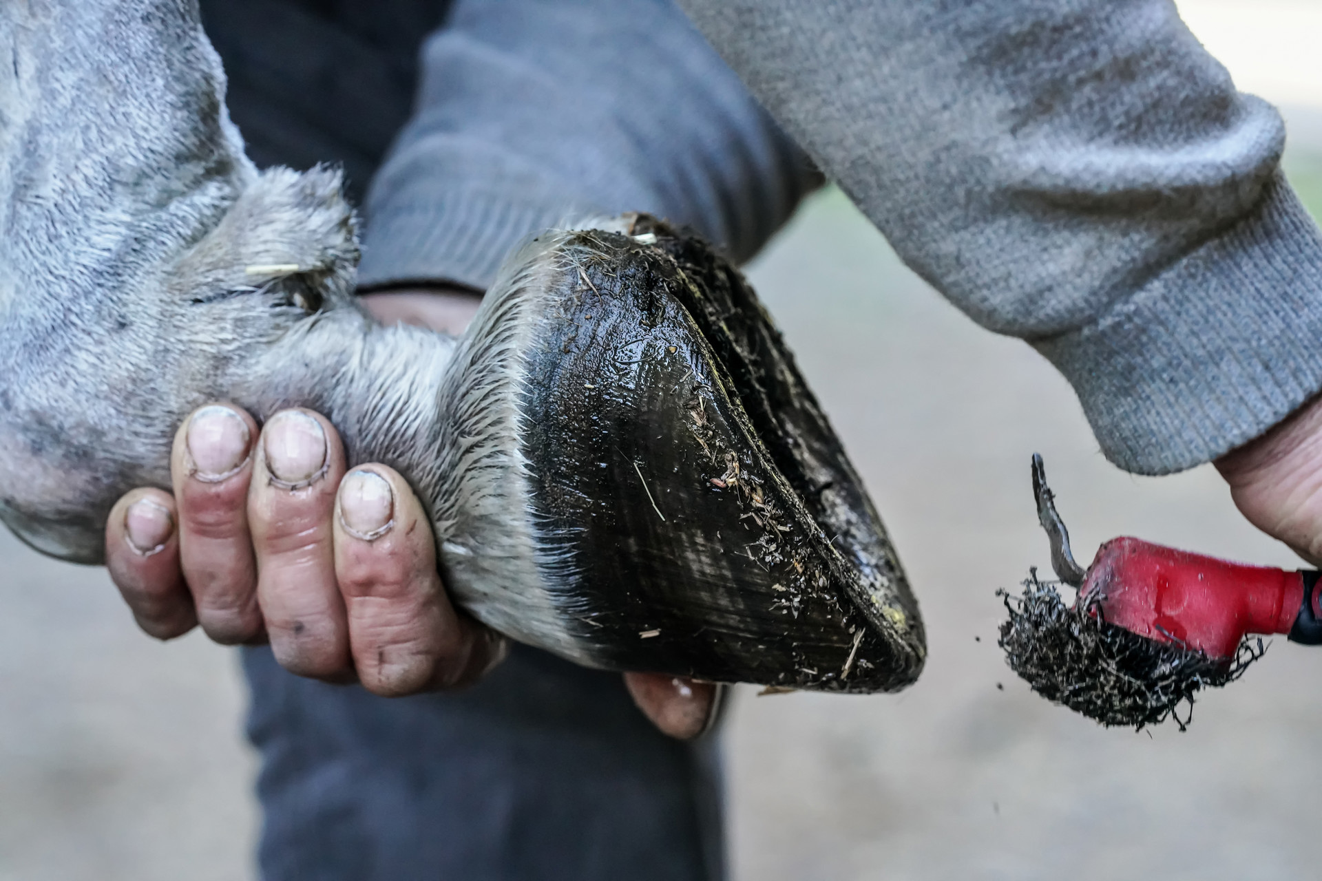 Background image - Istock 1485684436