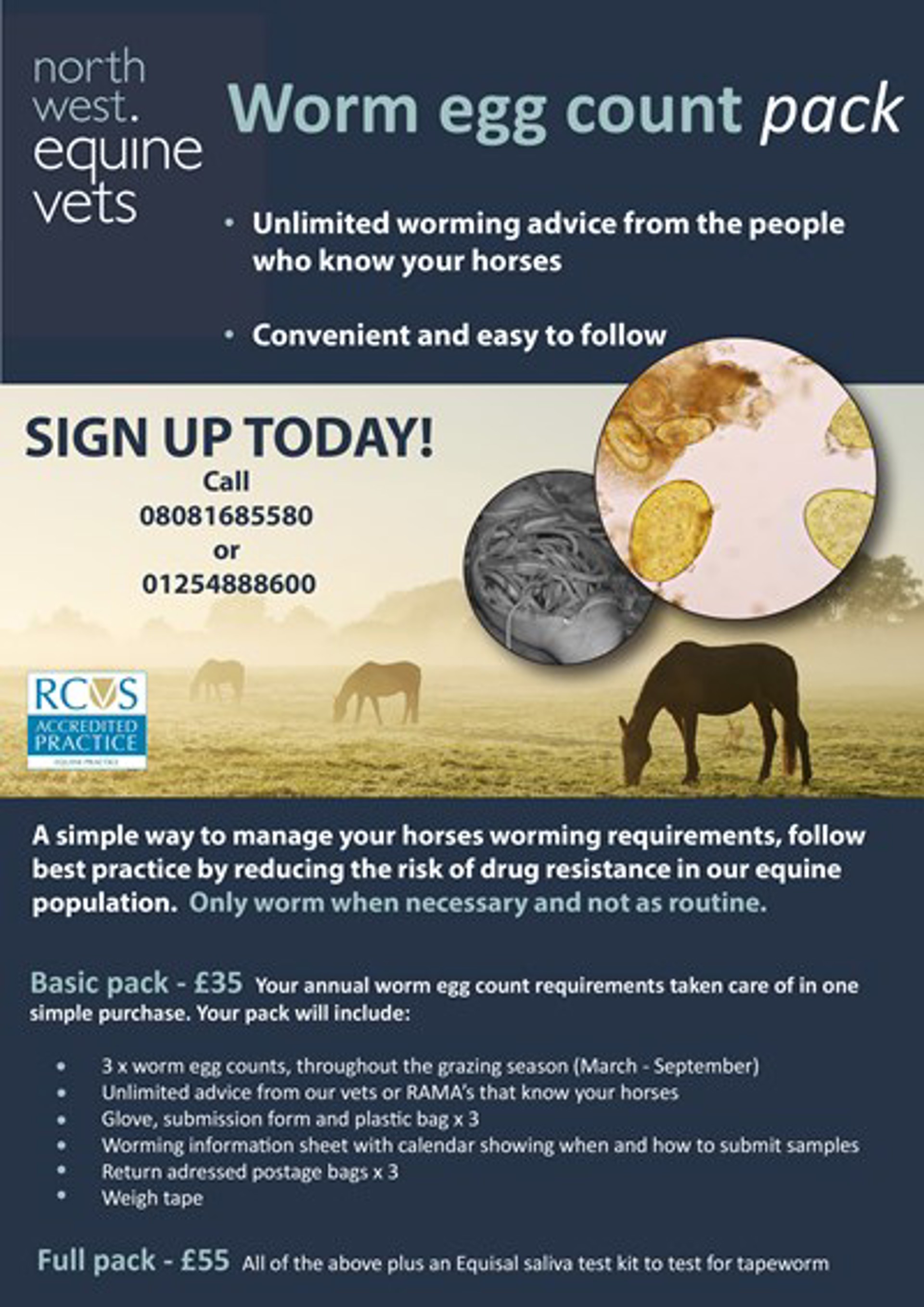 Background image - Worming Package Flyer