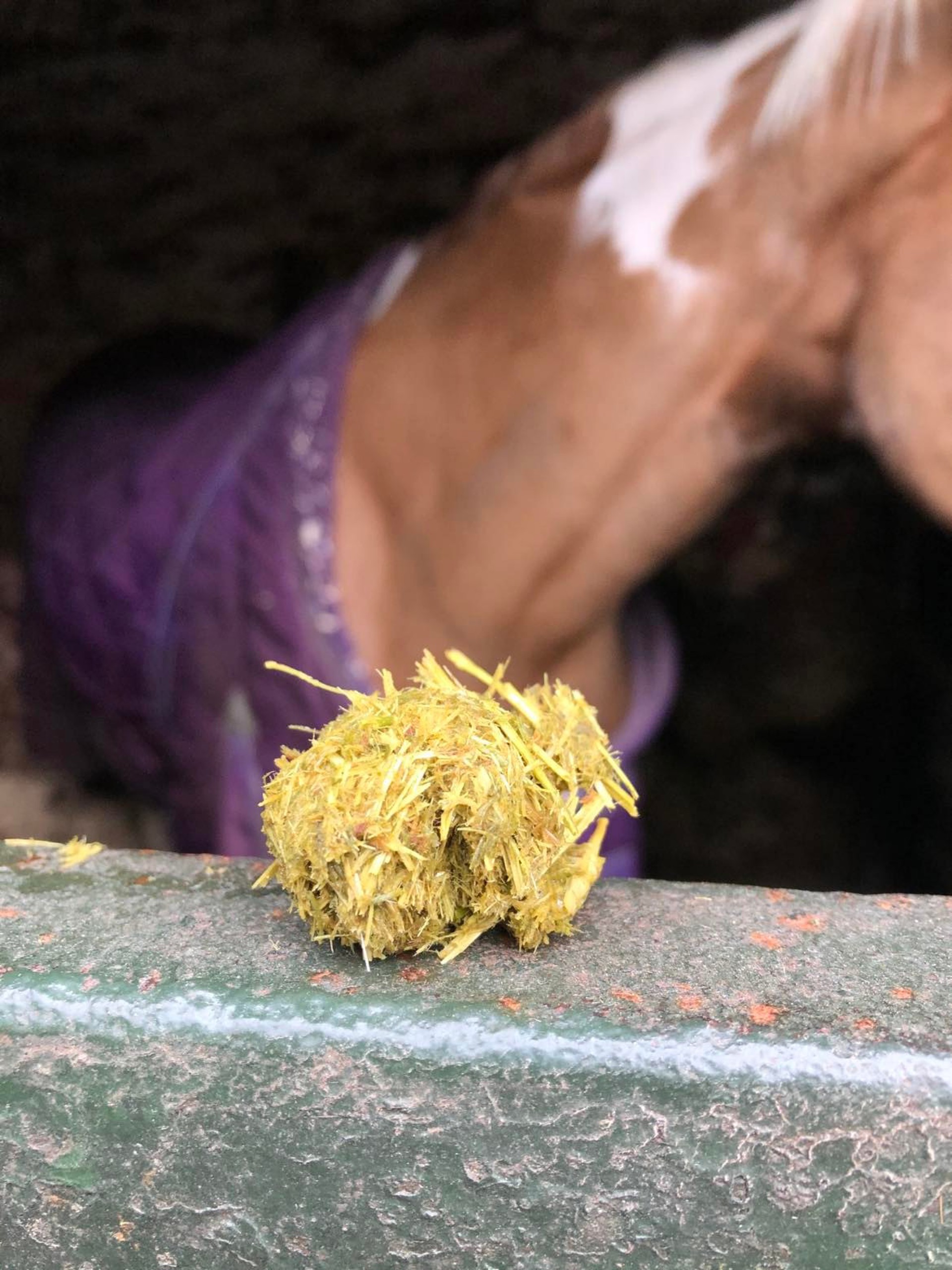 Background image - 313341534 4989723897797990 263848724247710796 N (1)