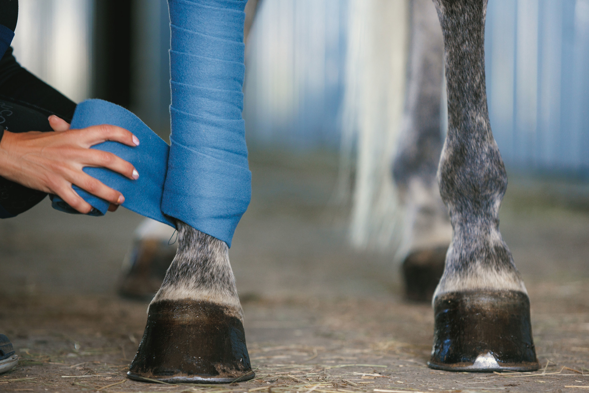 Background image - Istock 1411422259