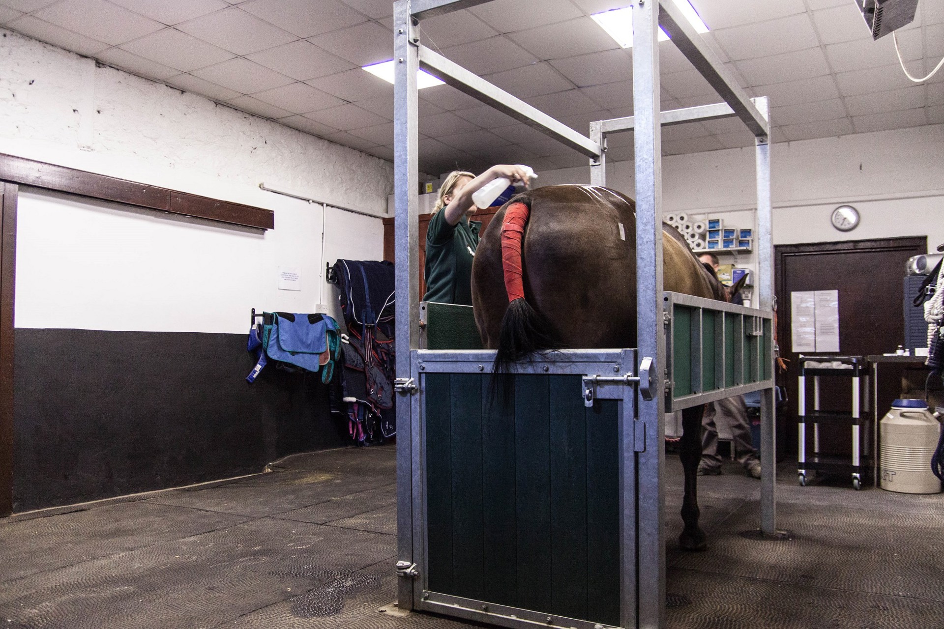 Background image - Img 3830 2