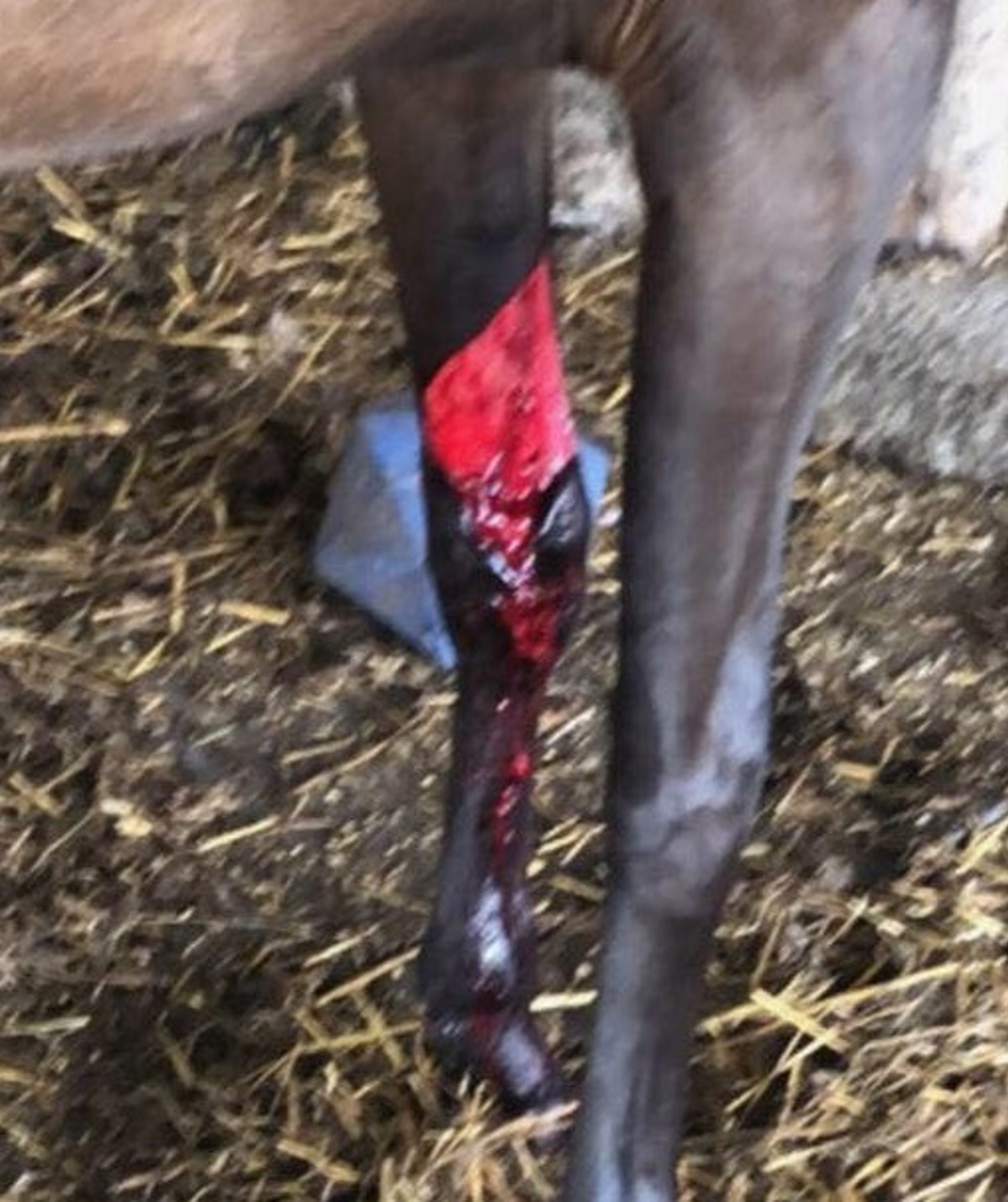 Background image - Small