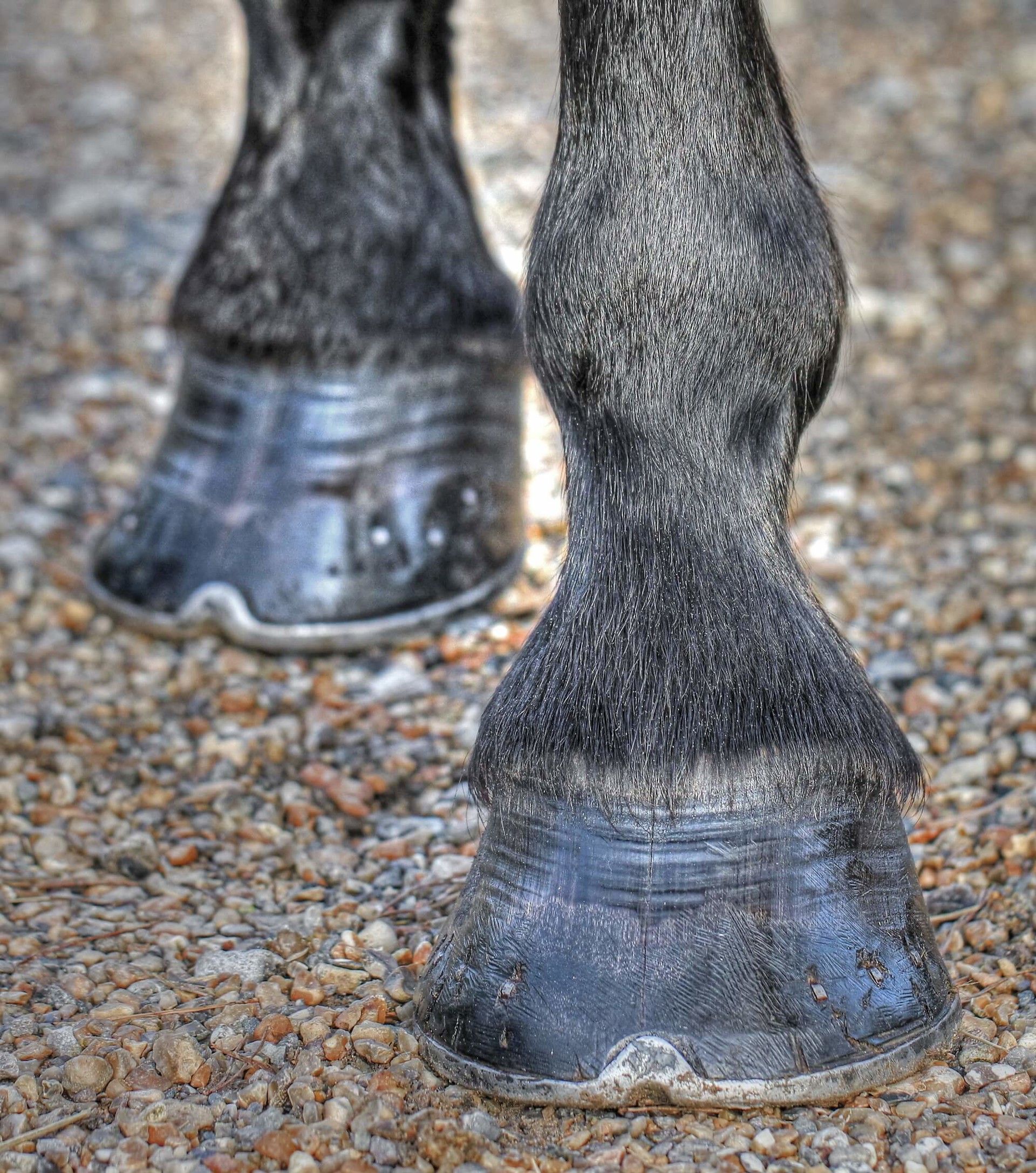 Background image - Feet5