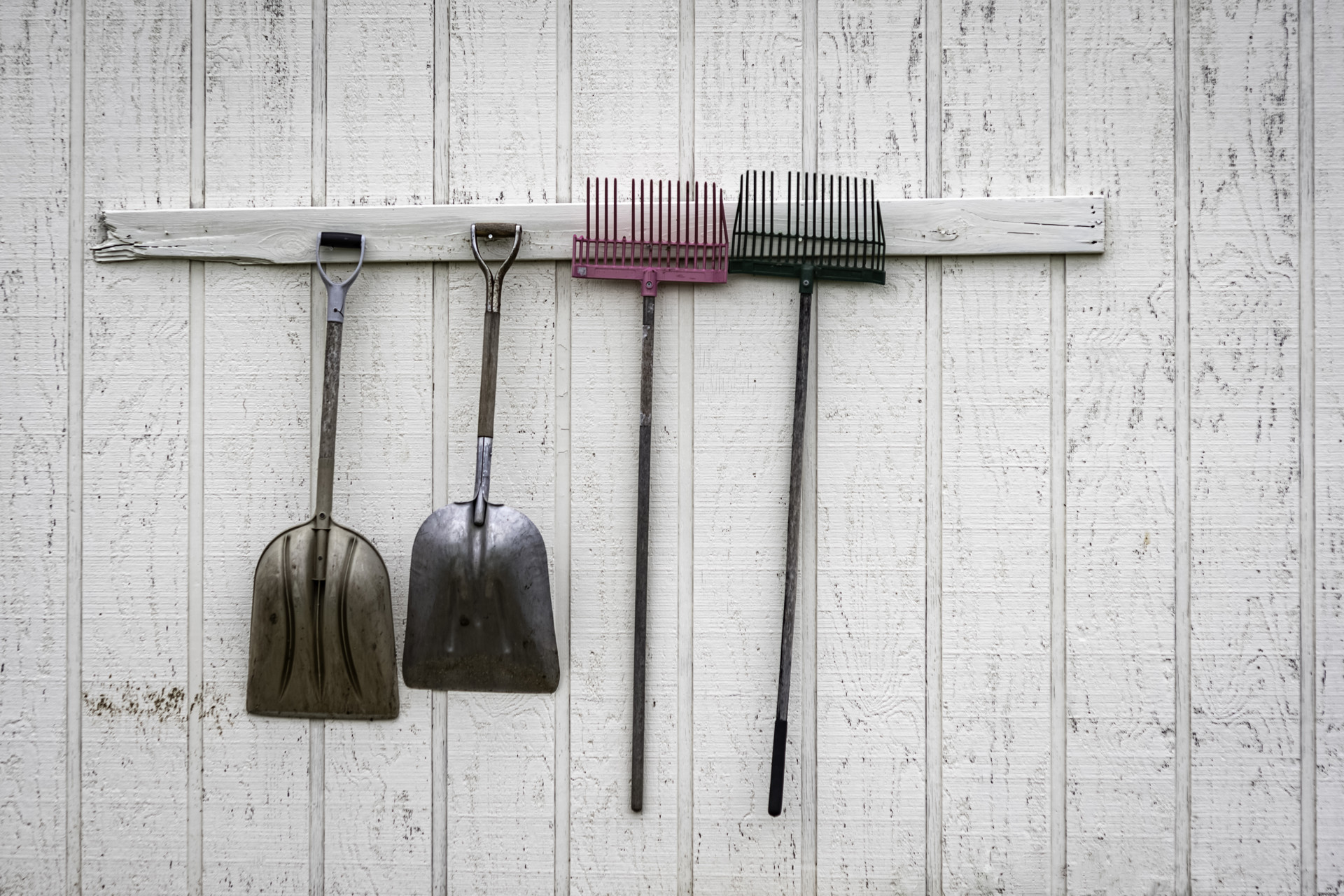 Background image - Istock 1292377997