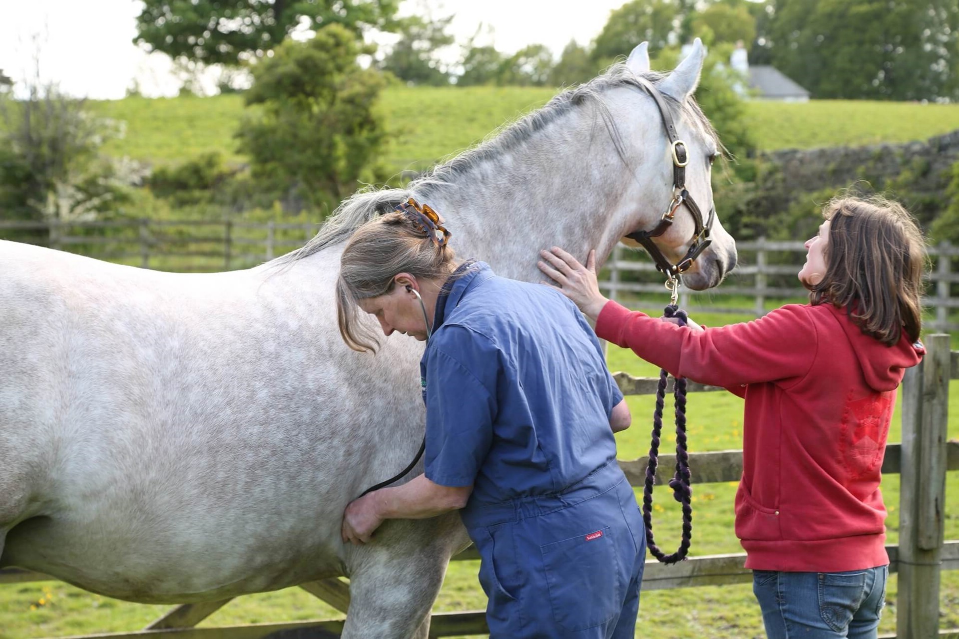 Background image - G72a0595 1