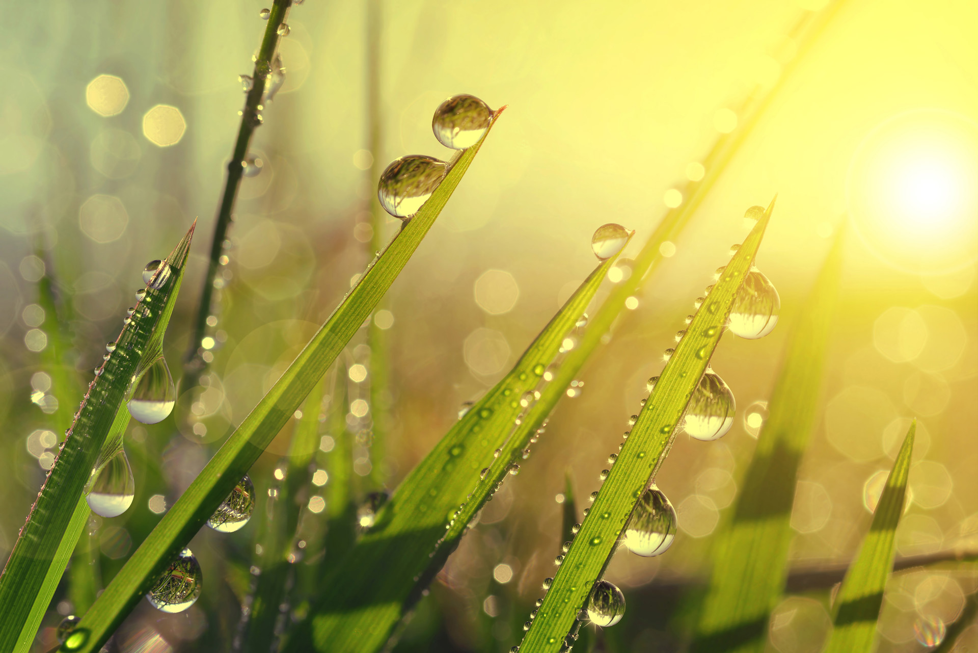 Background image - iStock-495703920