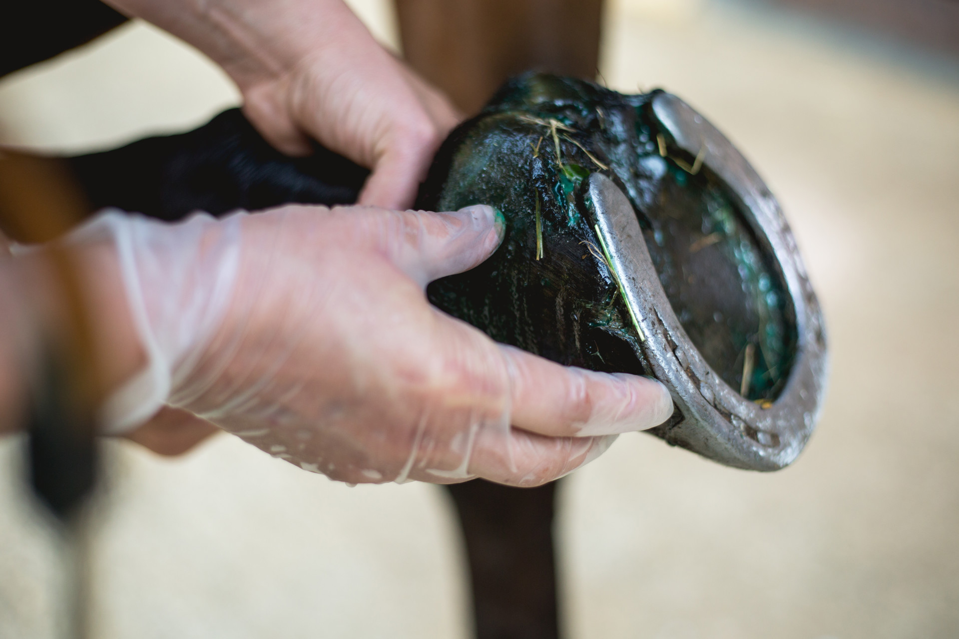 Background image - iStock-1005938152