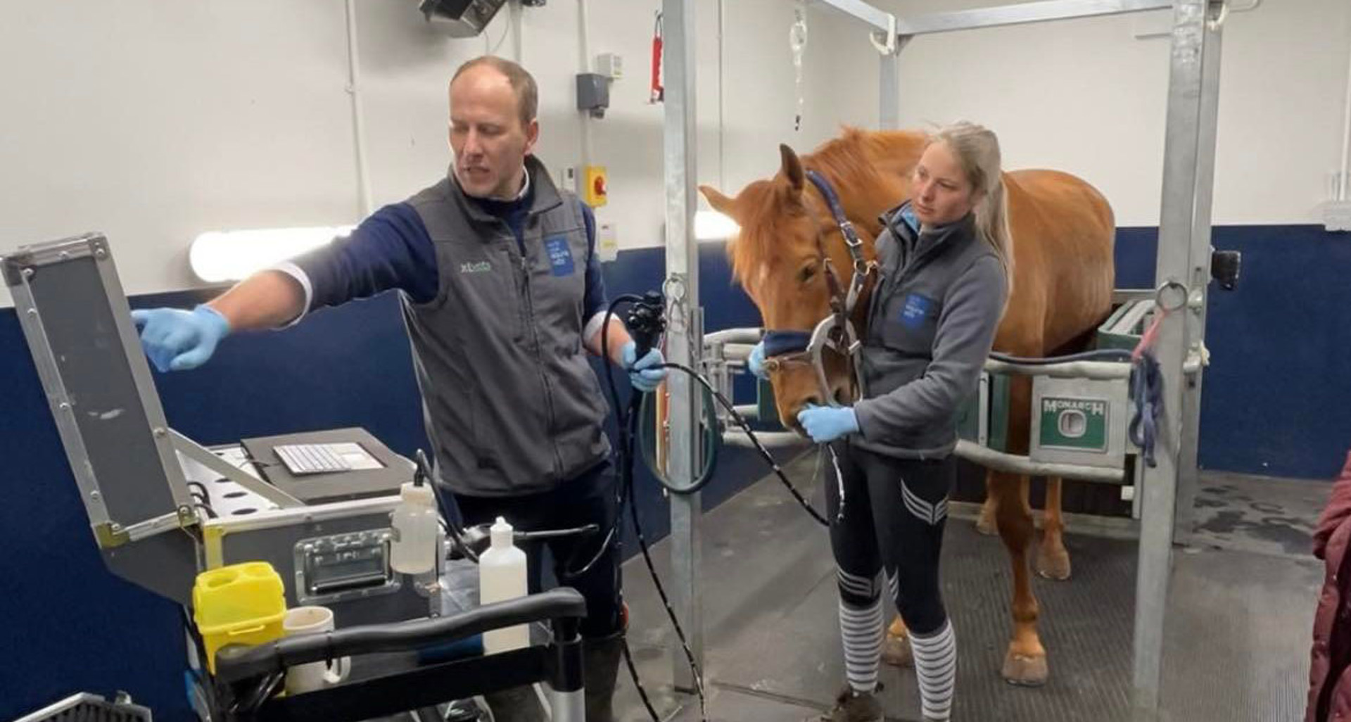 313828190 815618139644660 5059179966148535780 N