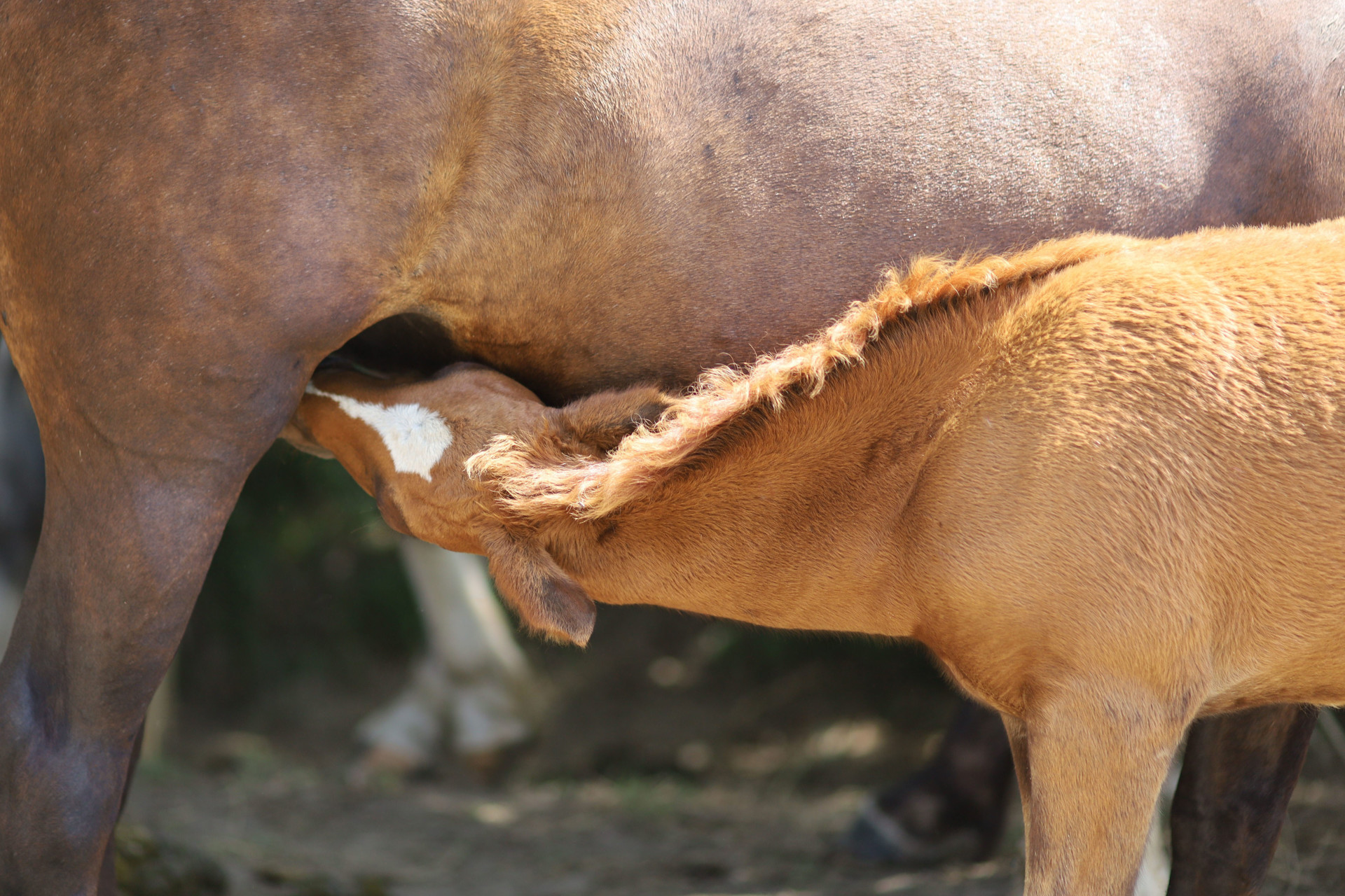 Background image - iStock-1302395179