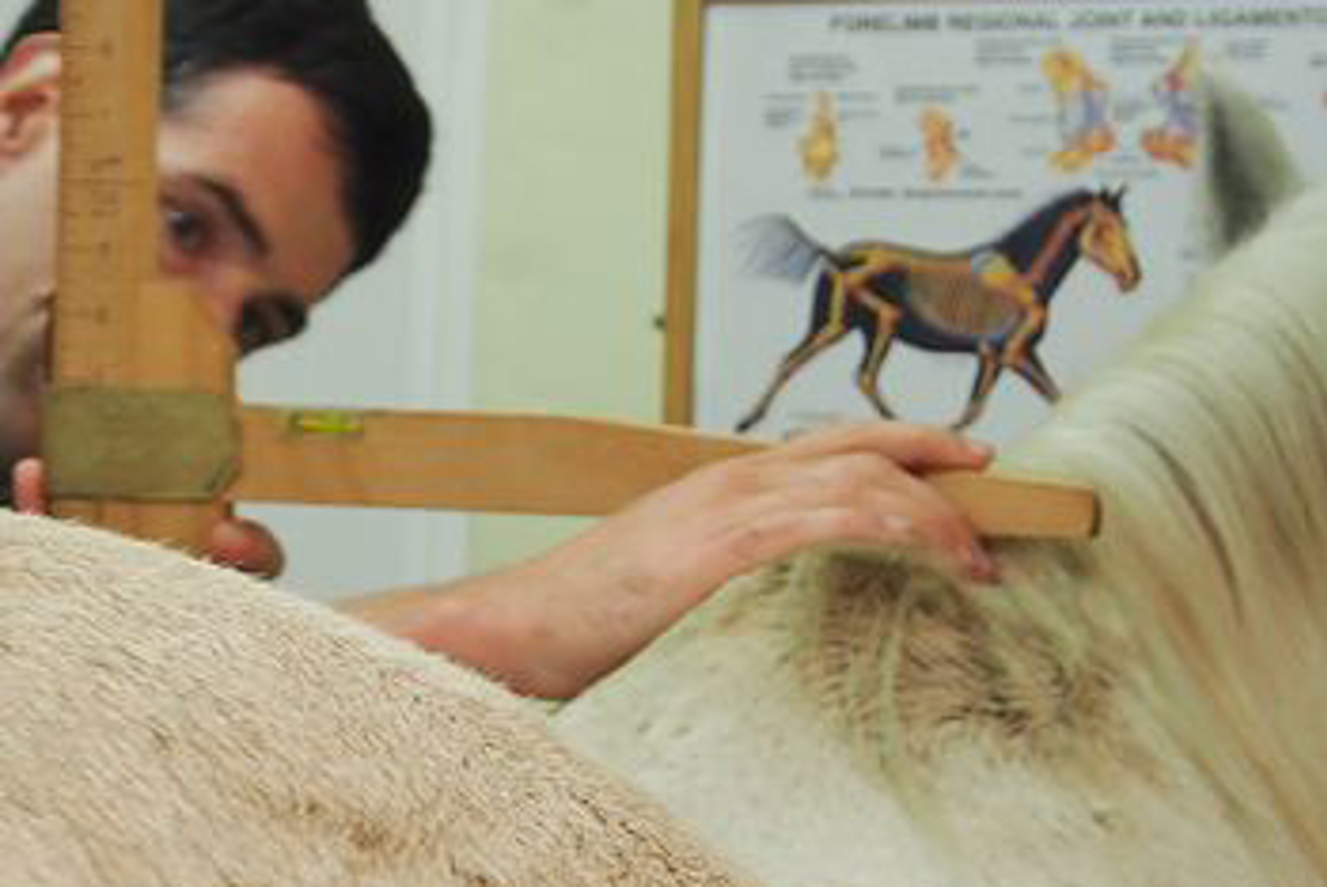 Background image - Height Measurement Banner