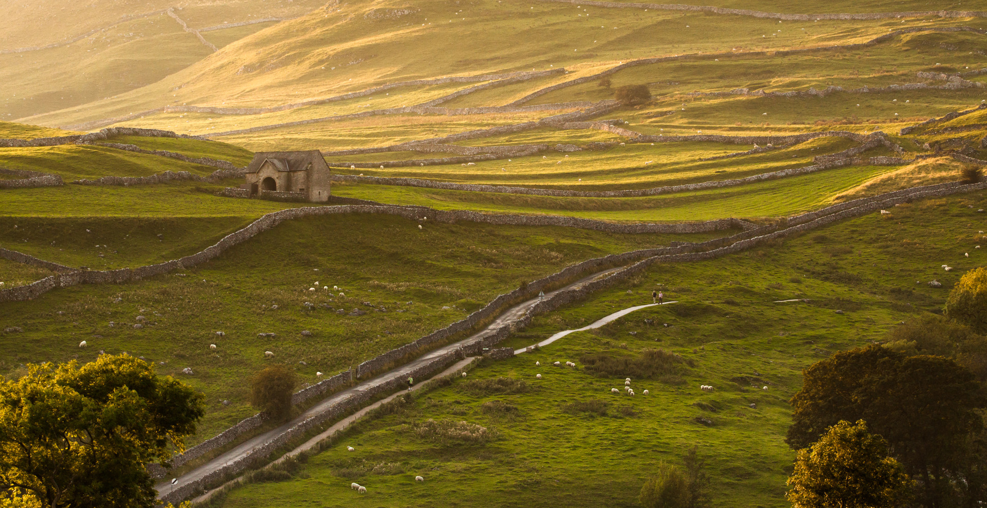 Background image - IMG 5247