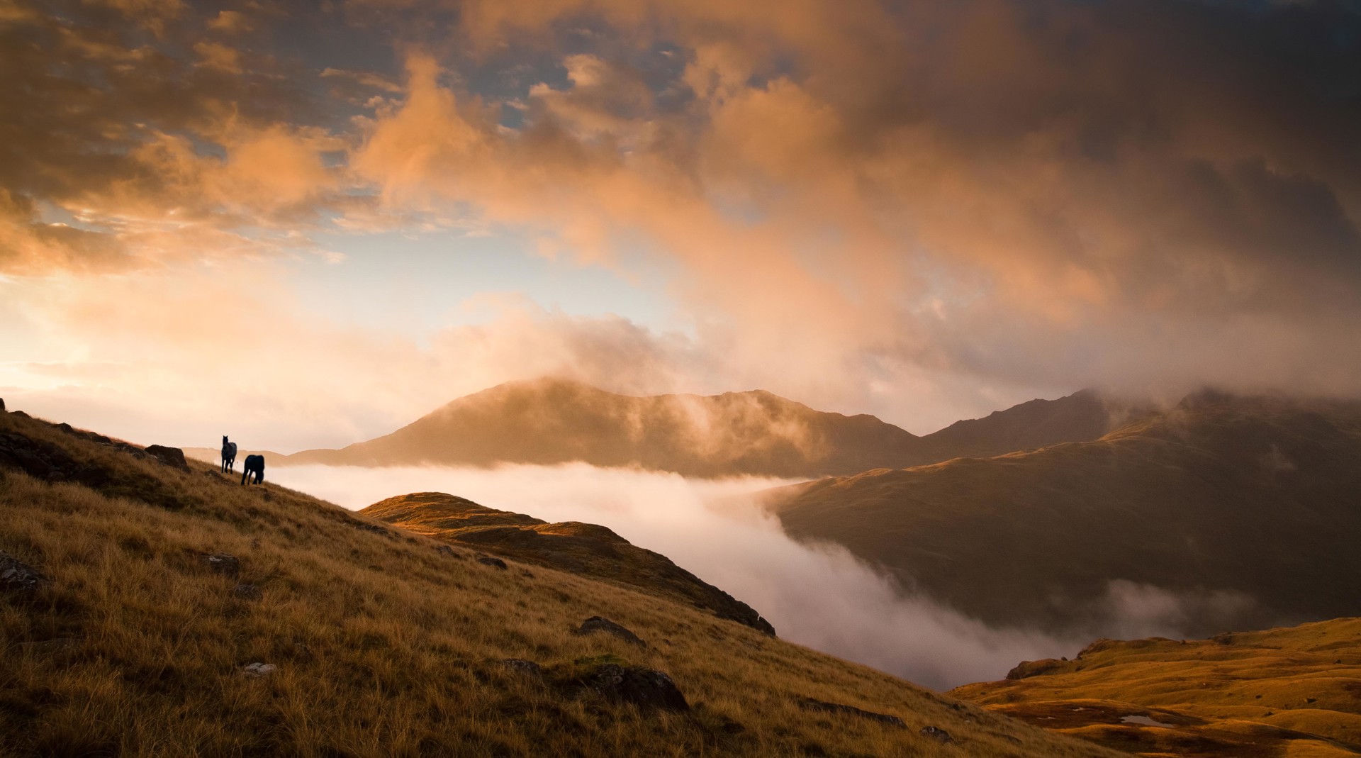 Background image - fells with horses