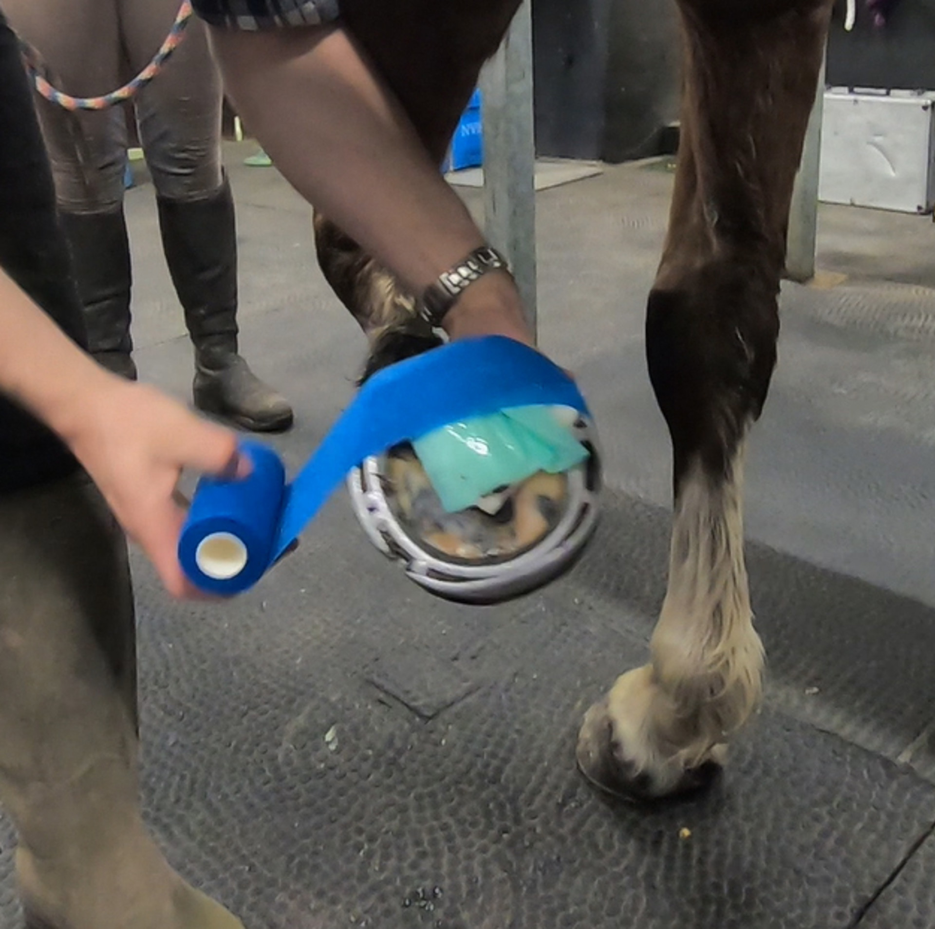 Background image - Poultice Copy