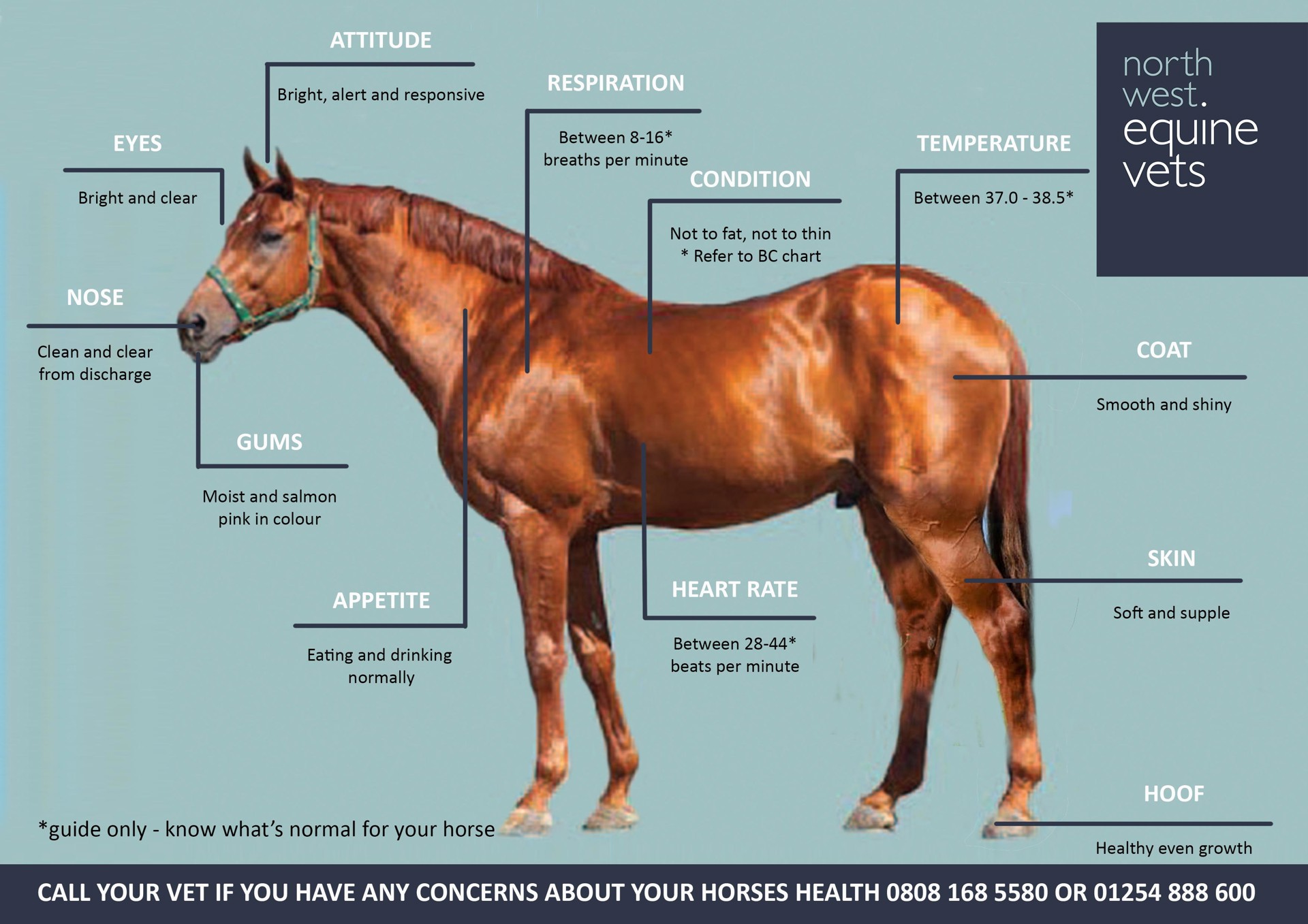 Background image - Signs Of Health Recovered